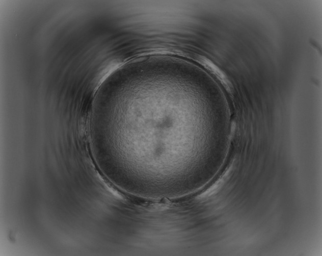X0000093241385200710031553