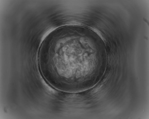 X0000093241387200710031553