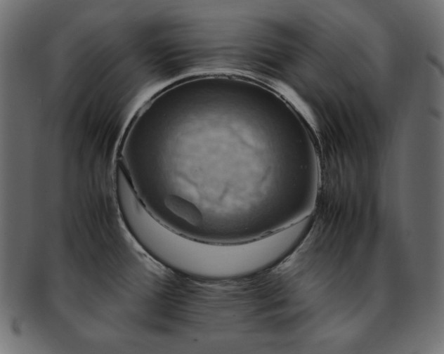 X0000093241388200710031553