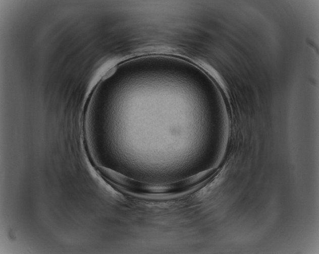 X0000093241389200710031553