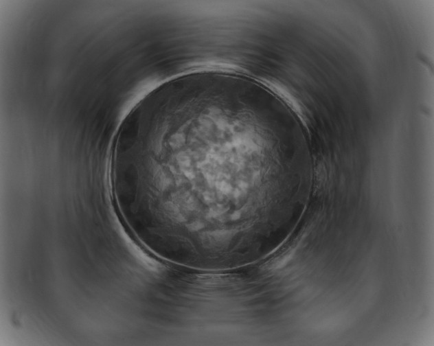 X0000093241391200710031553