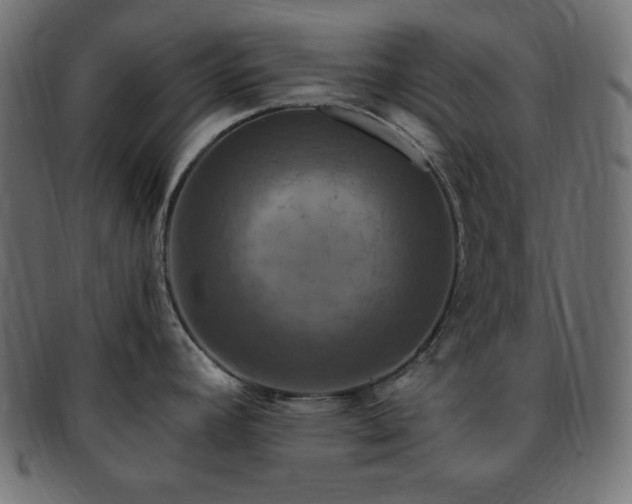 X0000093241392200710031553