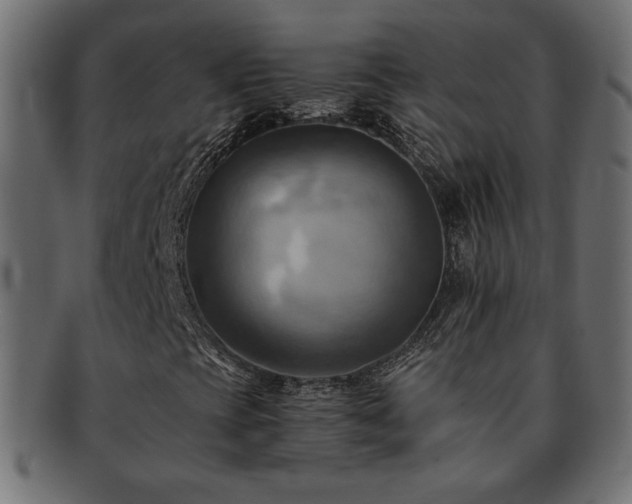 X0000093241393200710031552