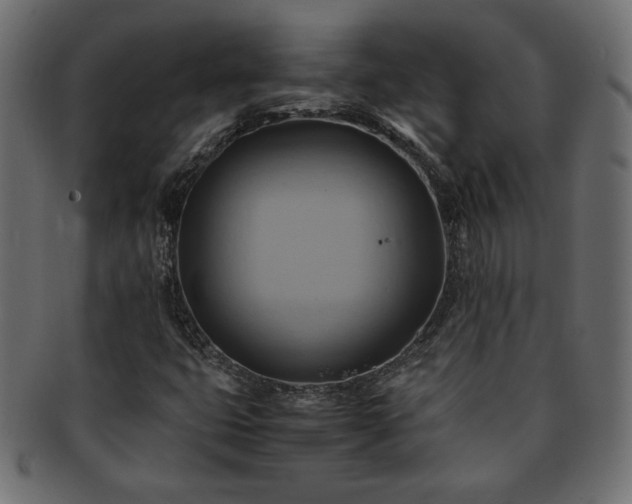 X0000093241399200710031552