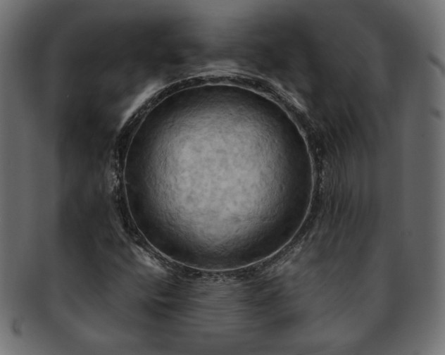X0000093241400200710031552
