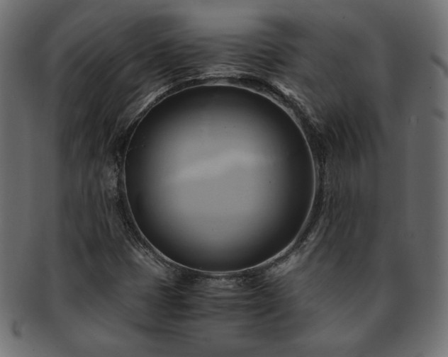 X0000093241401200710031552
