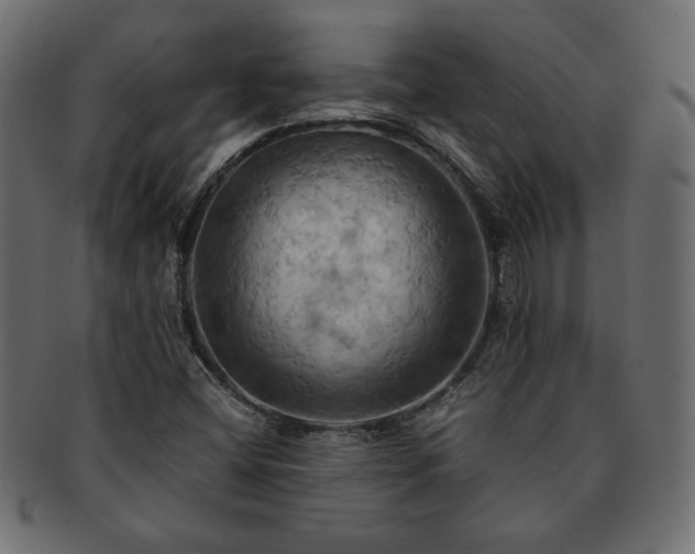 X0000093241404200710031552