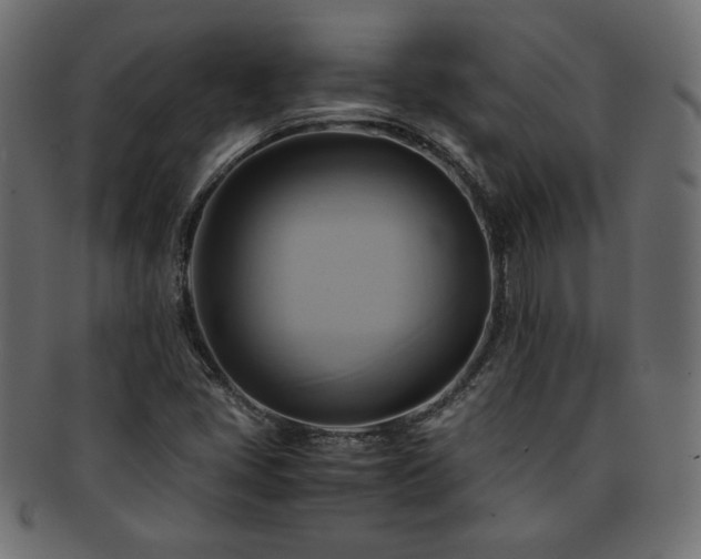 X0000093241405200710031552