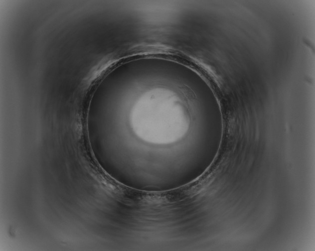 X0000093241407200710031552