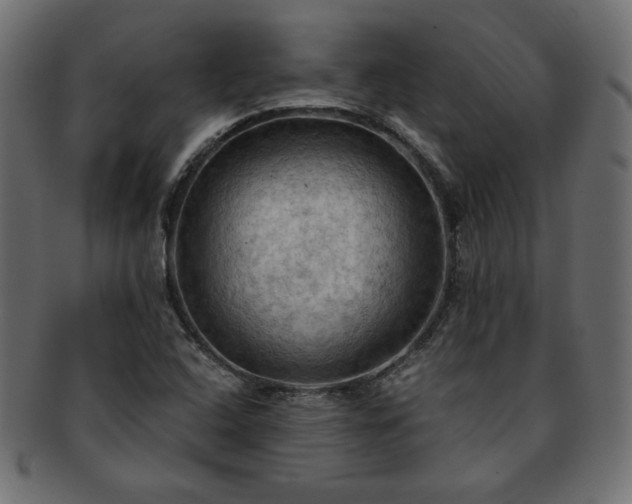 X0000093241408200710031552