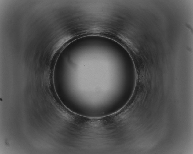X0000093241410200710031552