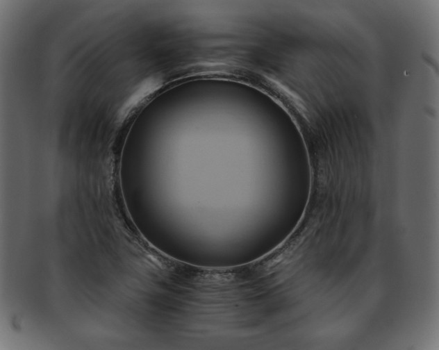 X0000093241411200710031552