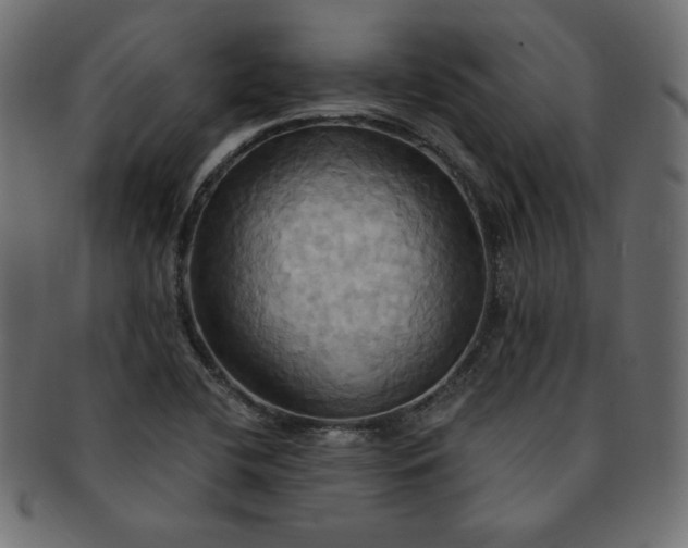 X0000093241412200710031552