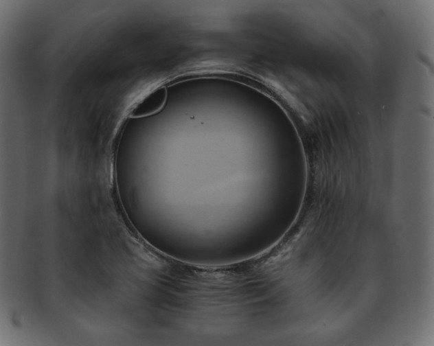 X0000093241413200710031552