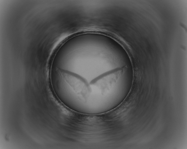 X0000093241416200710031553