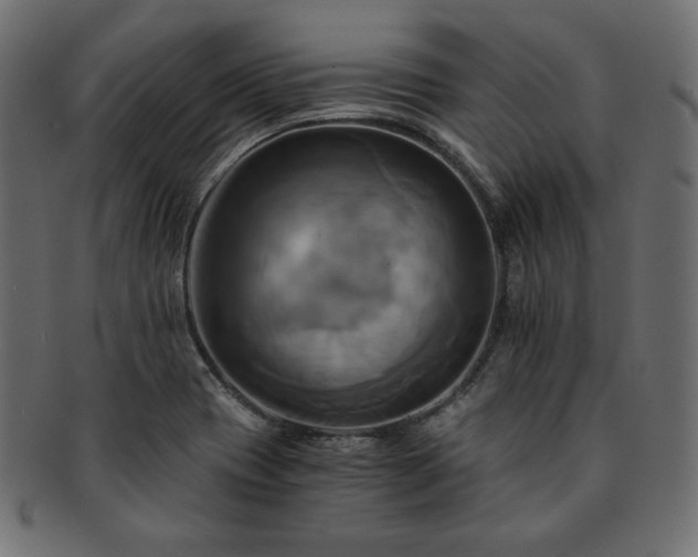 X0000093241417200710031553