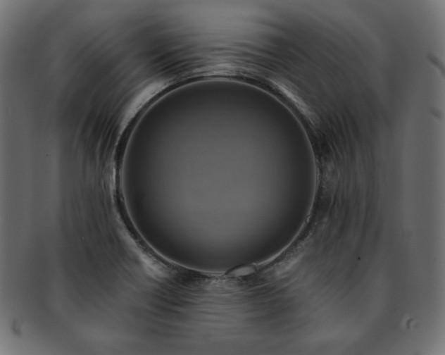 X0000093241418200710031553
