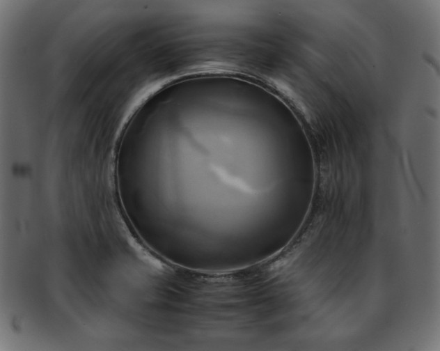 X0000093241421200710031553