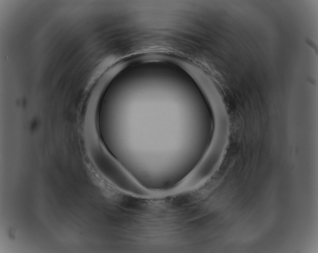 X0000093241422200710031553