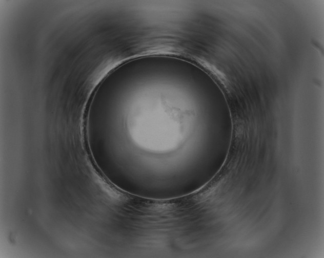 X0000093241423200710031553