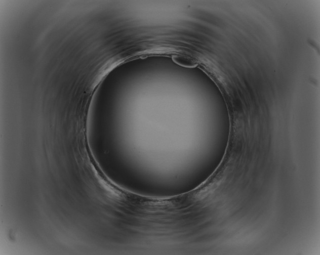X0000093241425200710031553