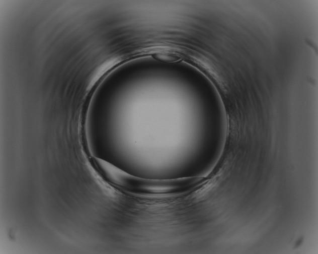 X0000093241426200710031553