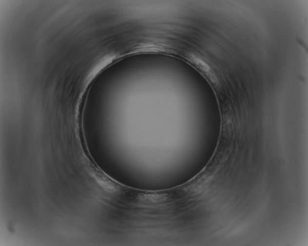 X0000093241427200710031553