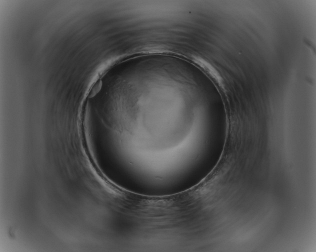 X0000093241429200710031553