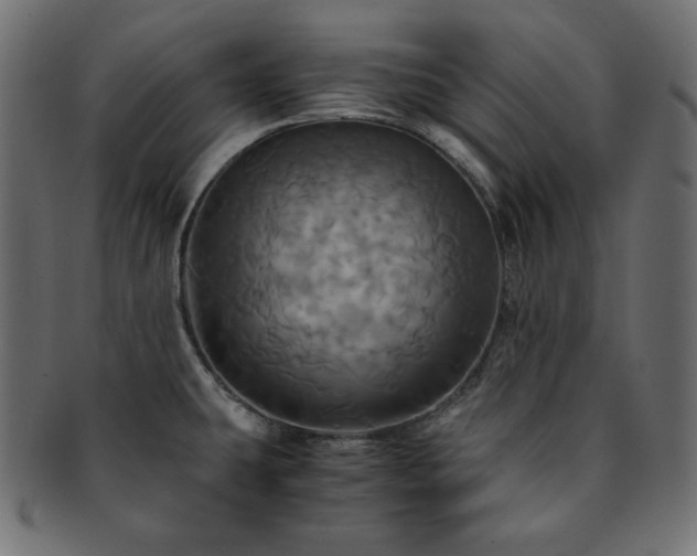 X0000093241431200710031553