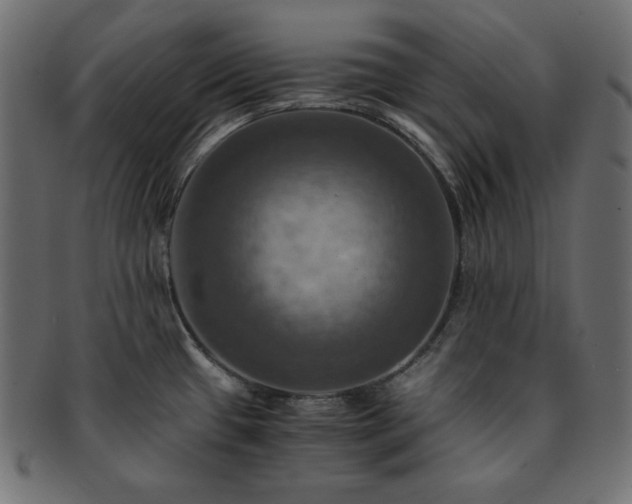 X0000093241433200710031553