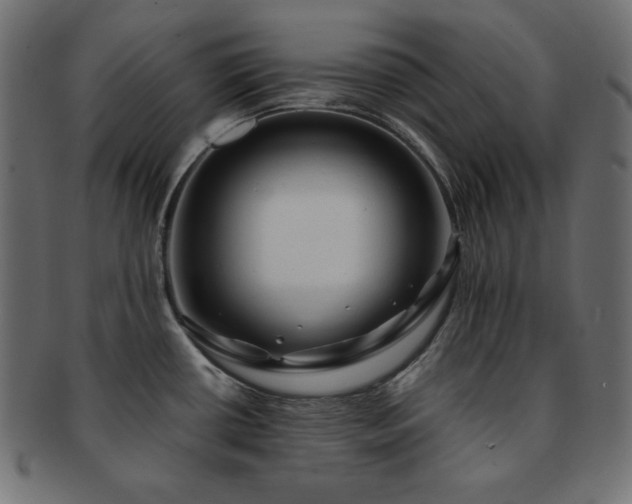 X0000093241434200710031553