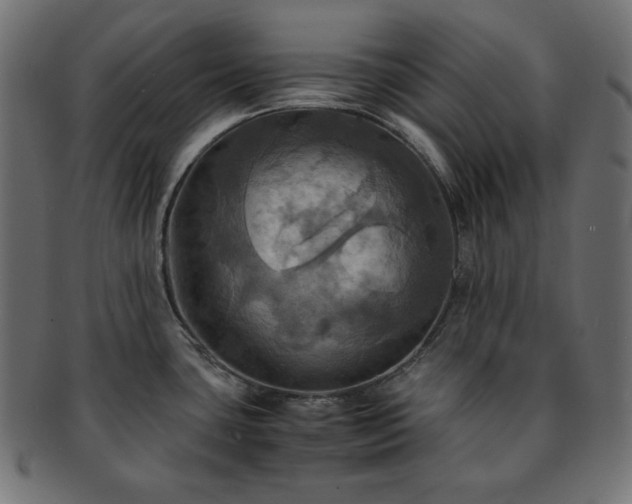 X0000093241435200710031553