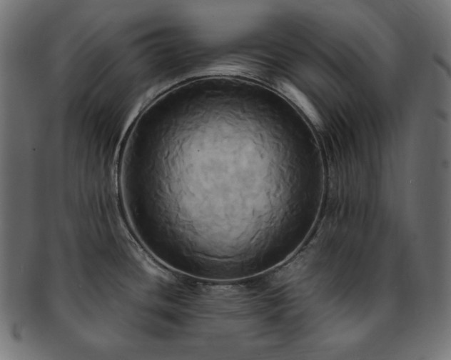 X0000093241436200710031553