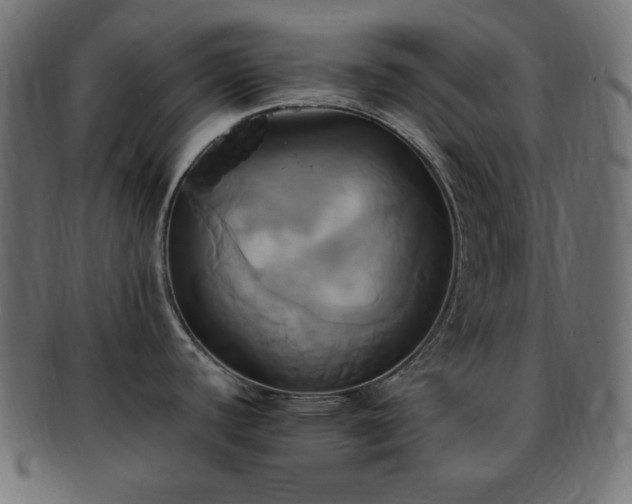 X0000093241440200710031553
