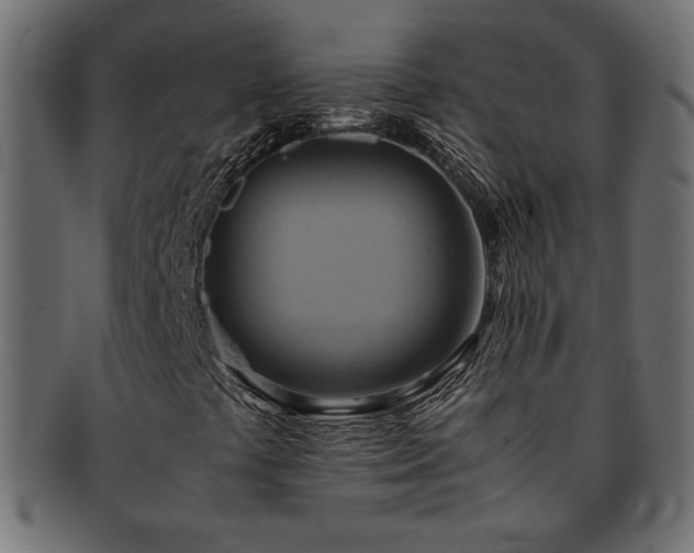 X0000093241441200710031552
