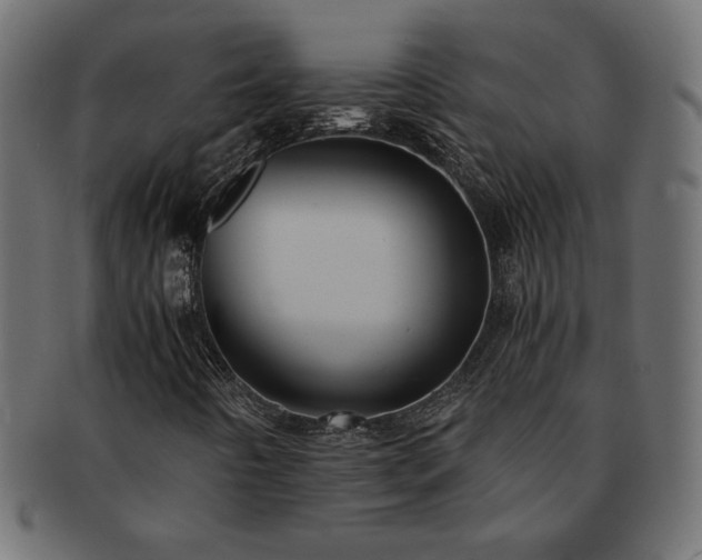 X0000093241442200710031552