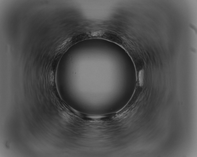 X0000093241443200710031552