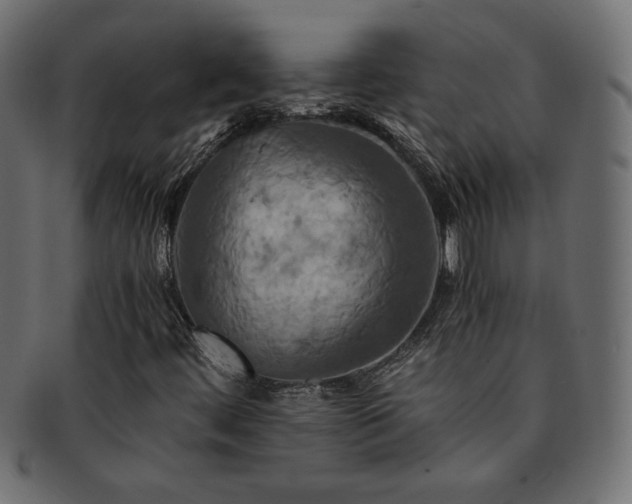 X0000093241444200710031552