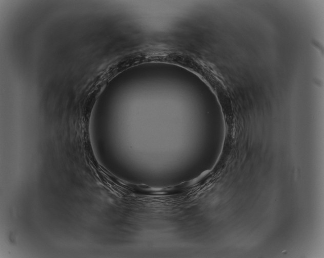 X0000093241445200710031552