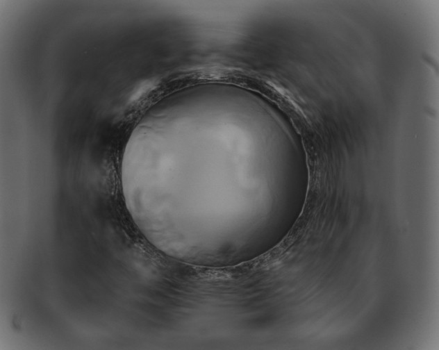 X0000093241446200710031552