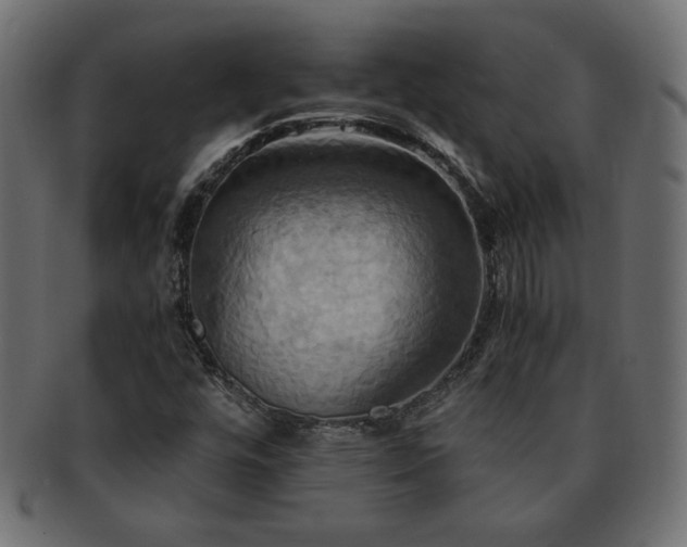 X0000093241448200710031552