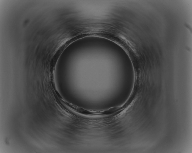 X0000093241449200710031552