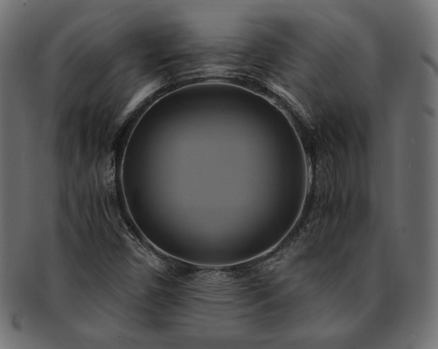 X0000093241450200710031552