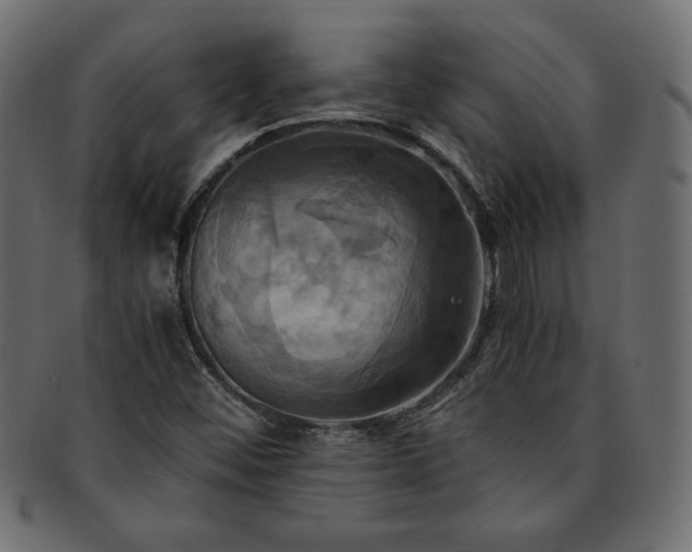 X0000093241452200710031552