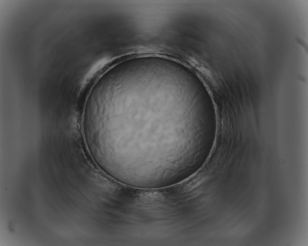 X0000093241454200710031552