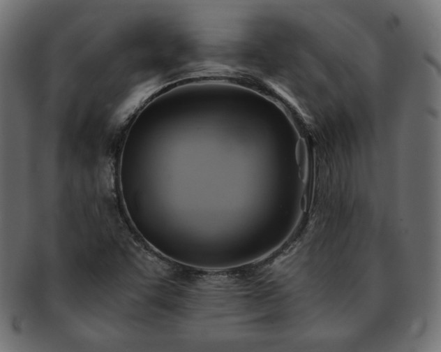 X0000093241455200710031552