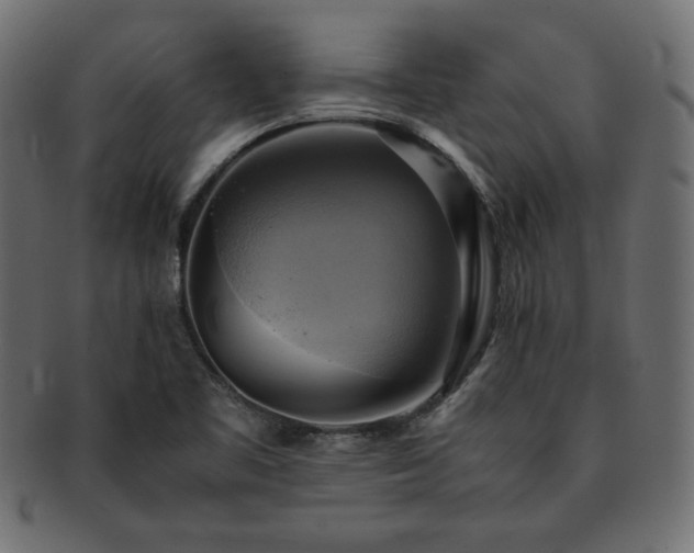X0000093241461200710031552