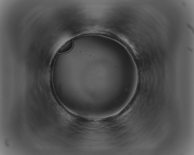 X0000093241463200710031552