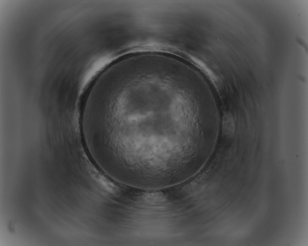 X0000093241464200710031552