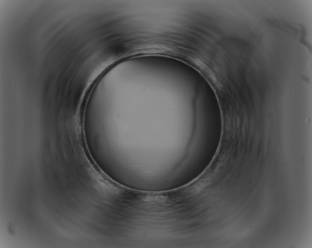 X0000093241466200710031552